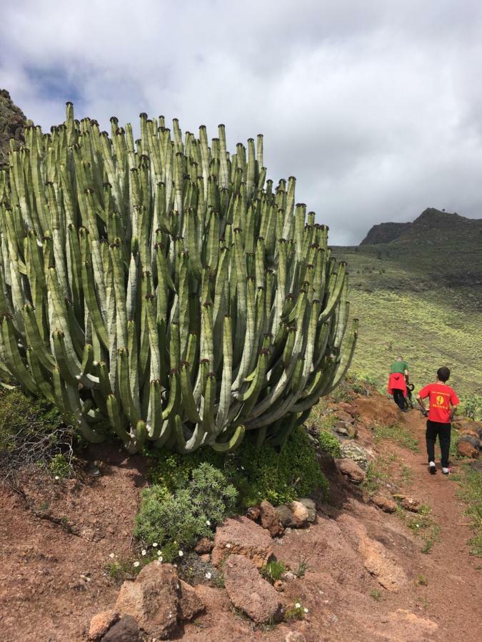 Casa Manel, La Gomera San Sebastián de la Gomera المظهر الخارجي الصورة